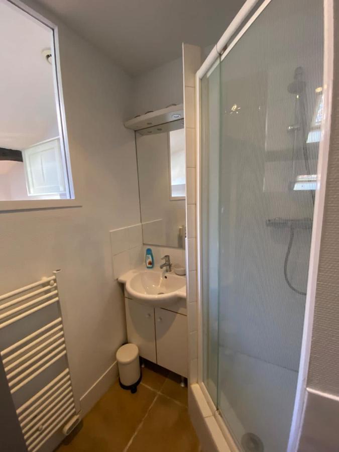 Le Petit Arloing-Studio Quais De Saone Vaise Lyon Eksteriør billede